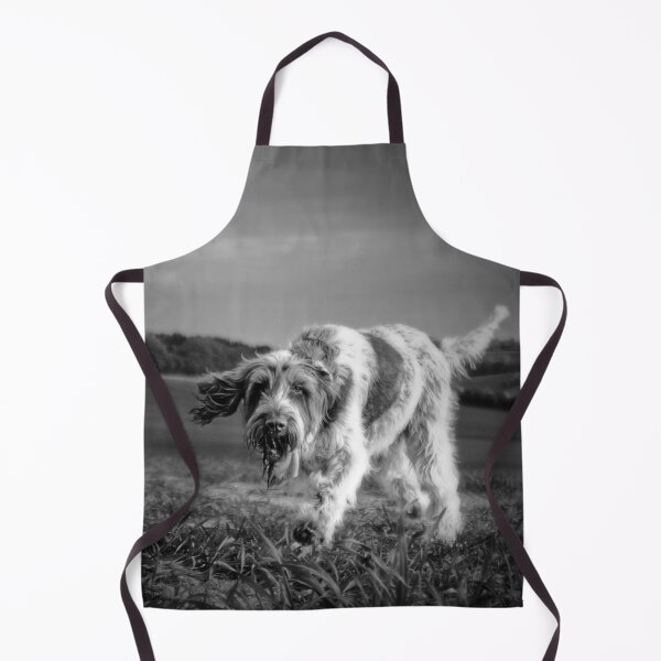 Item preview, Out on a hillside Spinone designed and sold by FOLK ART FUSION by heidiannemorris.