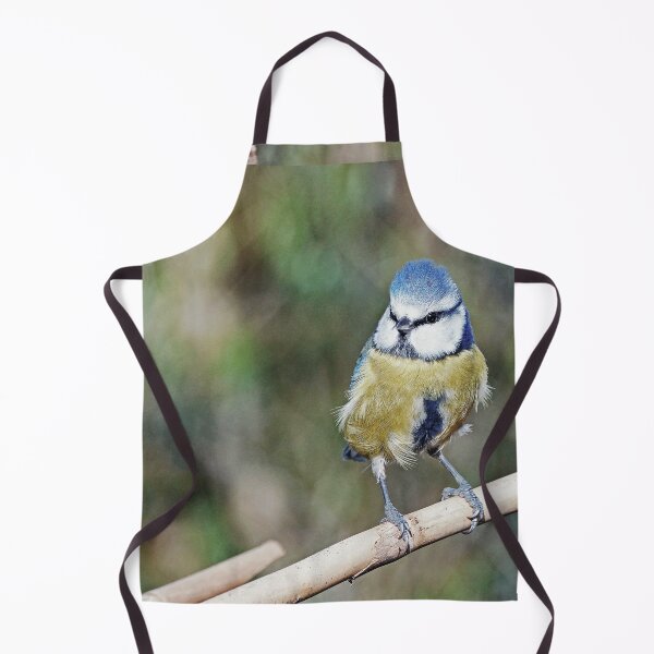 Item preview, r1233/ New Finition 2021 : " Mésange Bleu " 04 (c)(h) Olavia-Olao / Okaio Créations designed and sold by o.okaïo.
