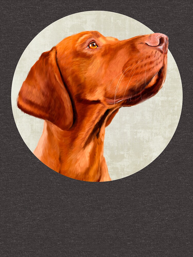 Mr Vizsla by Sparafuori