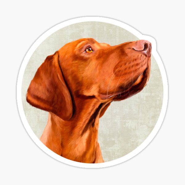 Mr Vizsla Sticker