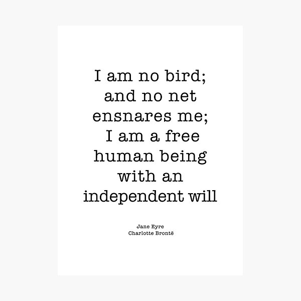 Item preview, I am no bird designed and sold by corbrand.
