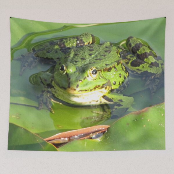 Item preview, Frog designed and sold by DomenicBlair77.