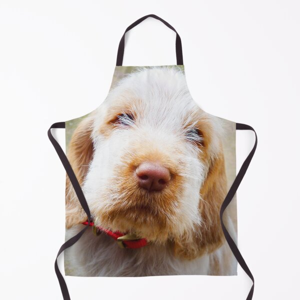 Item preview, Lifetime of love Spinone puppy by heidiannemorris designed and sold by FOLK ART FUSION by heidiannemorris.