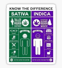 Marijuana Explained Sticker