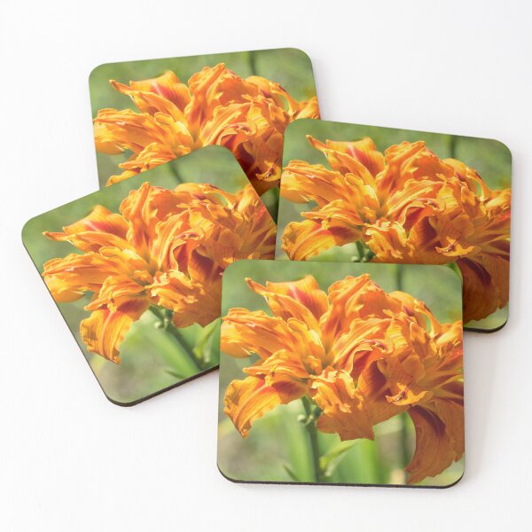 Item preview, Happy Orange Ruffles - Boldly Colored Daylilies Duo Abloom designed and sold by Georgia Mizuleva.