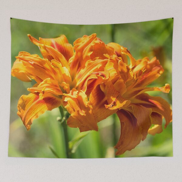 Item preview, Happy Orange Ruffles - Boldly Colored Daylilies Duo Abloom designed and sold by Georgia Mizuleva.