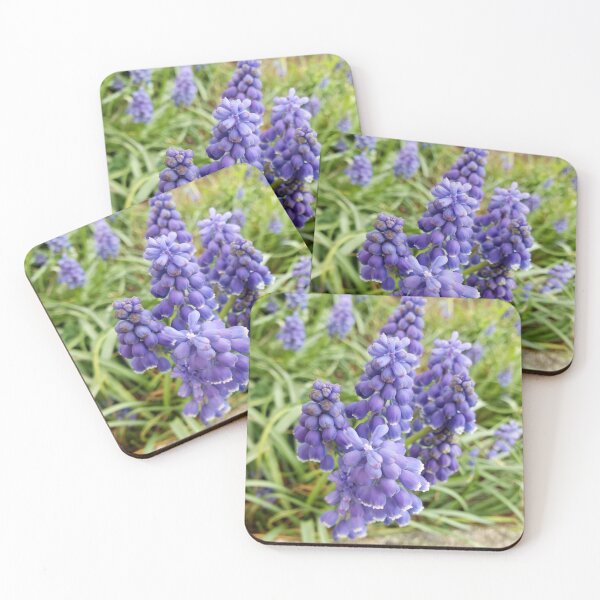 Item preview, Grape Hyacinth  designed and sold by GrudleBay.