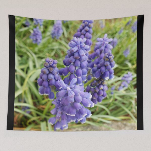 Item preview, Grape Hyacinth  designed and sold by GrudleBay.