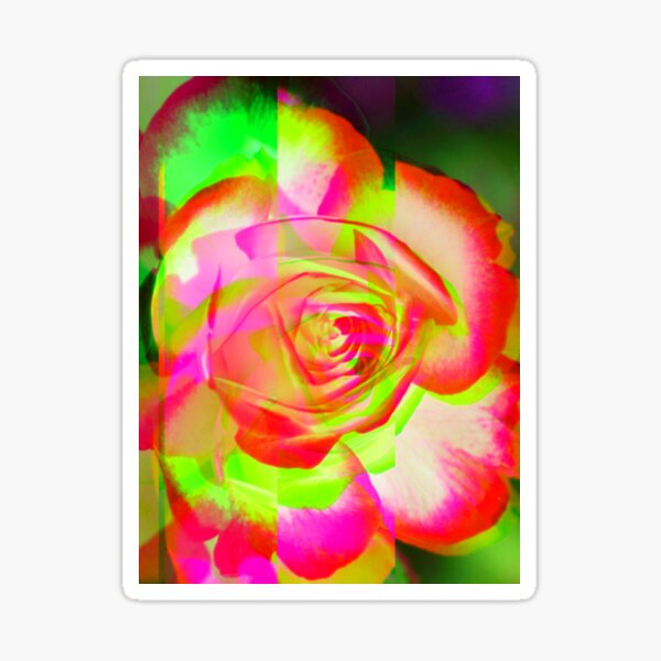 Rose Blooms Sticker