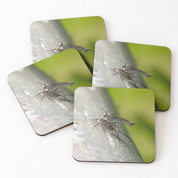 Item preview, Common shrub thief with a horsefly for prey designed and sold by NW-Photo-Art.
