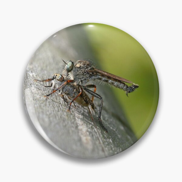 Item preview, Common shrub thief with a horsefly for prey designed and sold by NW-Photo-Art.
