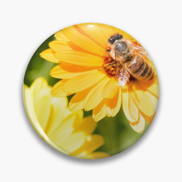 Item preview, Busy Bee designed and sold by PhotosbyPeter.