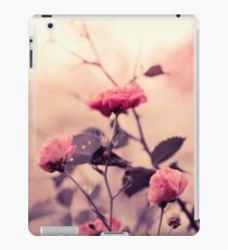Stillness iPad Case/Skin