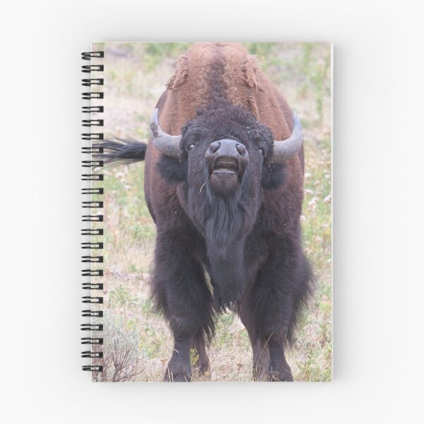 Item preview, Upset Bull Bison designed and sold by WorldDesign.