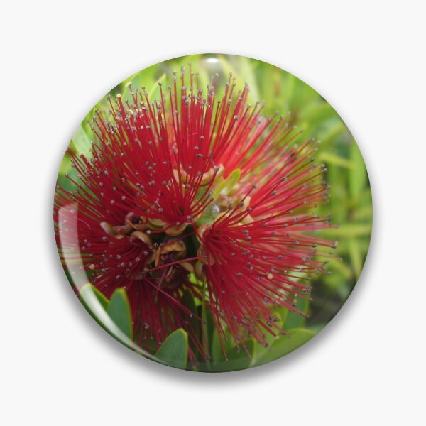 Item preview, Red Bottlebrush Flower designed and sold by KaSaPo.