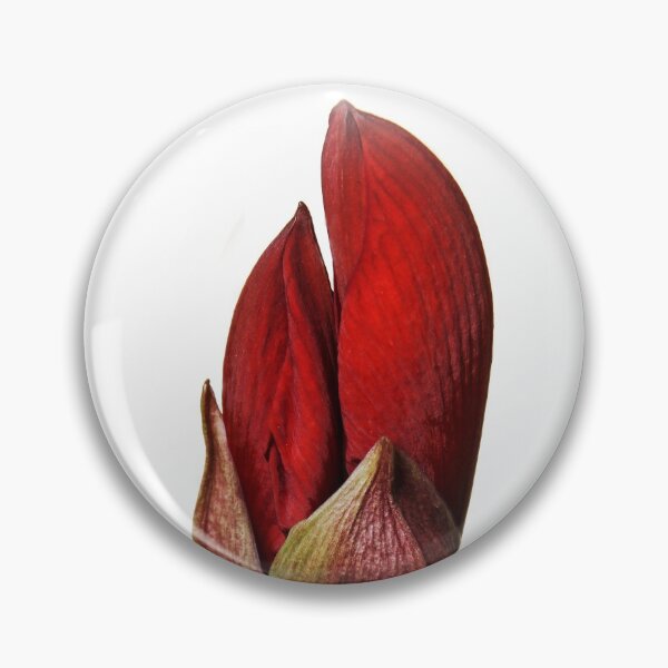Item preview, Budding Red Lion Amaryllis designed and sold by heatherfriedman.