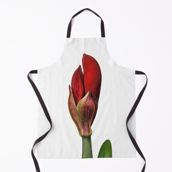 Item preview, Budding Red Lion Amaryllis designed and sold by heatherfriedman.