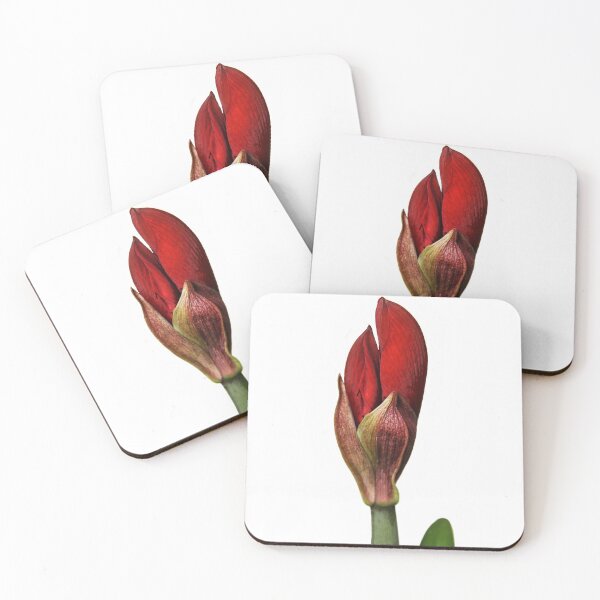 Item preview, Budding Red Lion Amaryllis designed and sold by heatherfriedman.