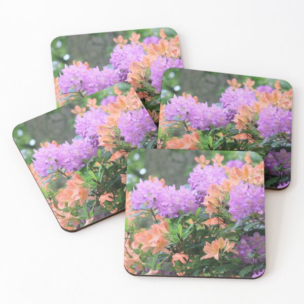 Item preview, Purple and Orange Azaleas in a park garden designed and sold by sw-b.