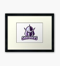 shredder, Teenage Ninja Turtle Framed Print