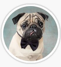 Mr Pug Sticker