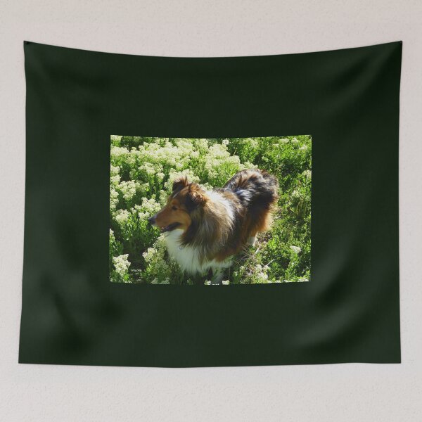 Item preview, Sheltie in Springtime designed and sold by LeRoyM.
