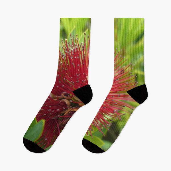 Item preview, Red Bottlebrush Flower designed and sold by KaSaPo.