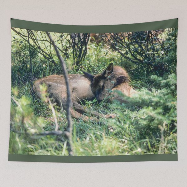 Item preview, Napping Fawn in Whistlers Campground designed and sold by Karen Granoski.