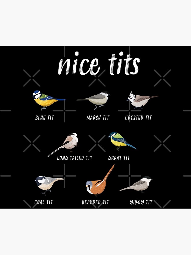 Discover Nice tits funny bird watching gift for Birder Men and Women Premium Matte Vertical Poster