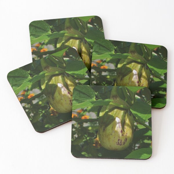 Item preview, ¿Fruta o verdura? designed and sold by AGODIPhoto.