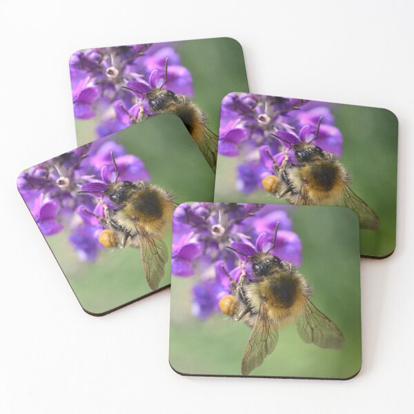 Item preview, Buzzing around  designed and sold by GFPhotography.
