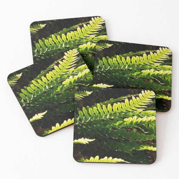 Item preview, Common polypody panoramic designed and sold by Jouko Lehto Photography.