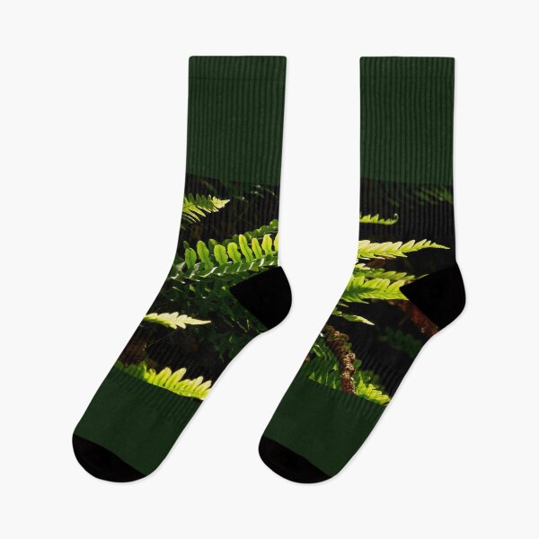 Item preview, Common polypody panoramic designed and sold by Jouko Lehto Photography.