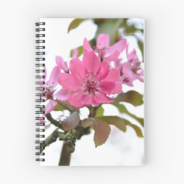 Artikelvorschau, Schön in pink entworfen und verkauft von GFPhotography.