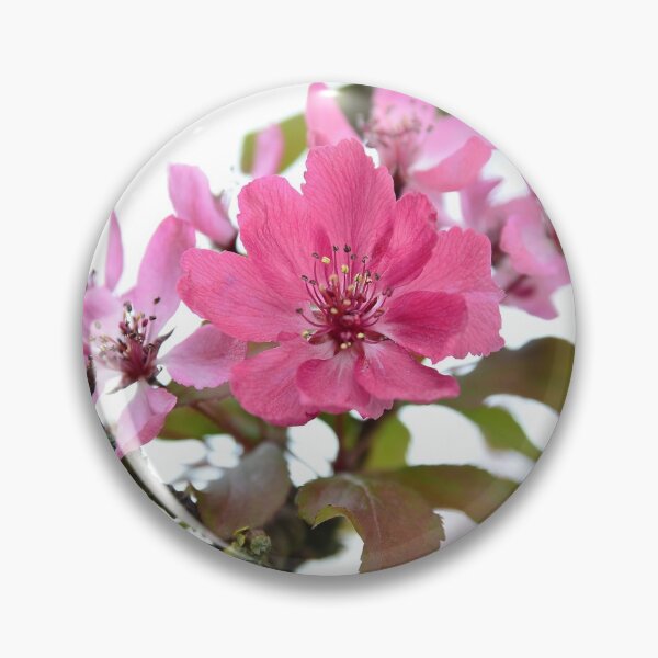 Item preview, Pretty in pink designed and sold by GFPhotography.