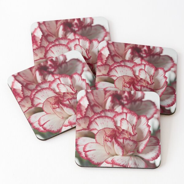 Item preview, White and red Carnation 1 designed and sold by Jouko Lehto Photography.