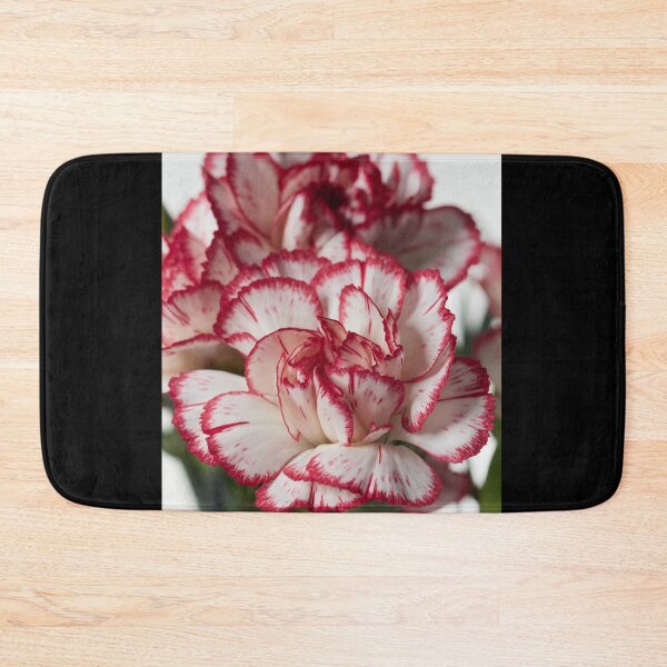 Item preview, White and red Carnation 1 designed and sold by Jouko Lehto Photography.