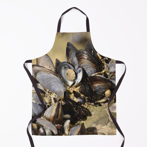 Item preview, Seashells designed and sold by GFPhotography.