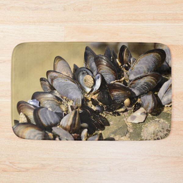 Item preview, Seashells designed and sold by GFPhotography.