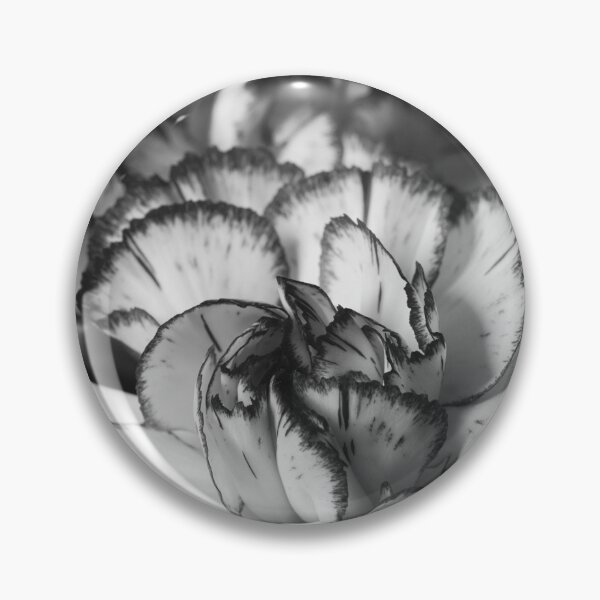 Item preview, White and red Carnation bw designed and sold by Jouko Lehto Photography.