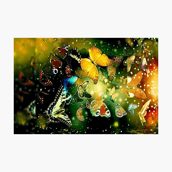 Best Image For Prints, Cards, Poster, Calender Photographic Print