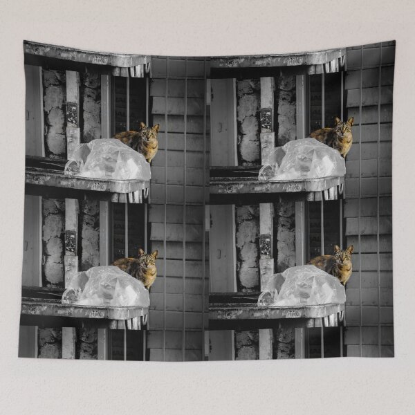 Item preview, Cat in trash can,Athens Downtown designed and sold by DanoolPics.