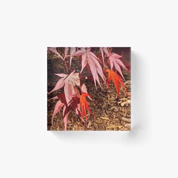 Item preview, Red Maple 3 designed and sold by CreenKreative.
