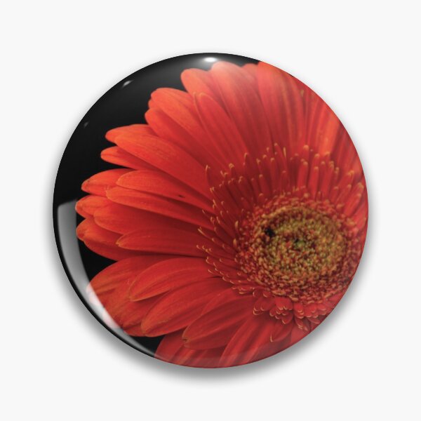 Item preview, Gerberas designed and sold by Babbler01.