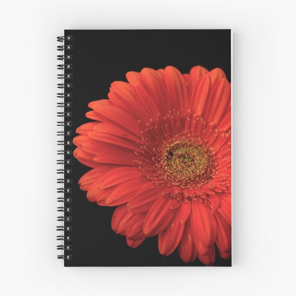 Item preview, Gerberas designed and sold by Babbler01.