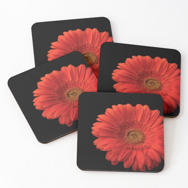 Item preview, Gerberas designed and sold by Babbler01.