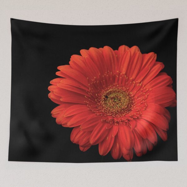 Item preview, Gerberas designed and sold by Babbler01.