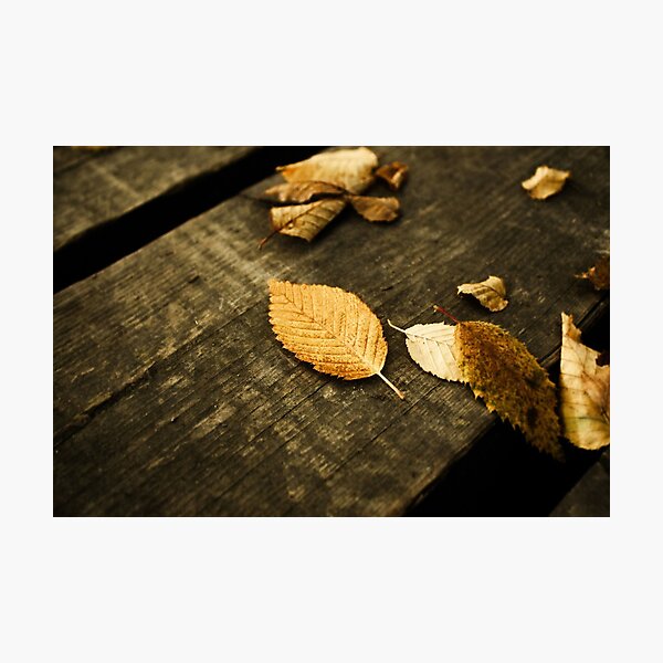 Best Image for Prints, Cards, Poster, Calender Photographic Print