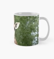 Giraffe Mug