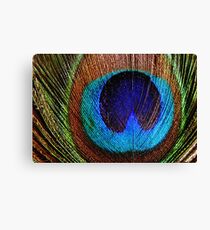 Best Image for Prints, Cards, Poster, Calender Canvas Print